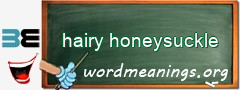 WordMeaning blackboard for hairy honeysuckle